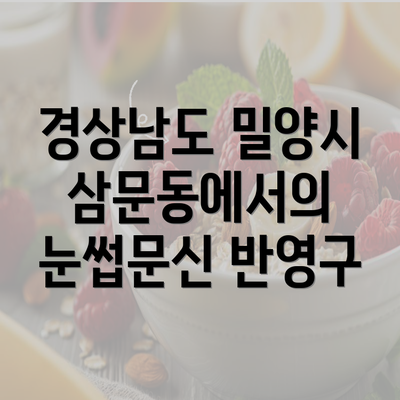 경상남도 밀양시 삼문동에서의 눈썹문신 반영구