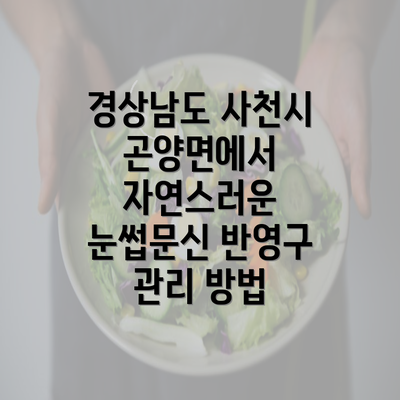 경상남도 사천시 곤양면에서 자연스러운 눈썹문신 반영구 관리 방법