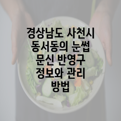 경상남도 사천시 동서동의 눈썹 문신 반영구란 무엇인가?