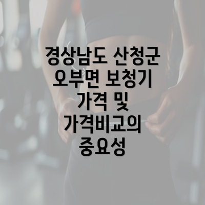 경상남도 산청군 오부면 보청기 가격 및 가격비교의 중요성