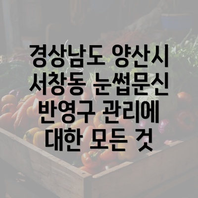 경상남도 양산시 서창동 눈썹문신 반영구 관리에 대한 모든 것