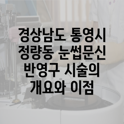 경상남도 통영시 정량동 눈썹문신 반영구 시술의 개요와 이점