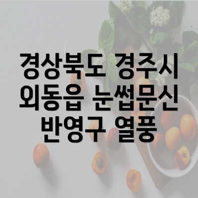 경상북도 경주시 외동읍 눈썹문신 반영구 열풍