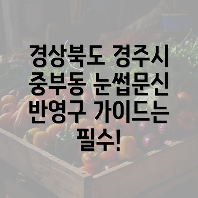 경상북도 경주시 중부동 눈썹문신 반영구 가이드는 필수!