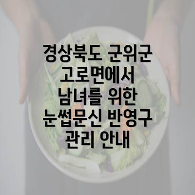 경상북도 군위군 고로면에서 남녀를 위한 눈썹문신 반영구 관리 안내