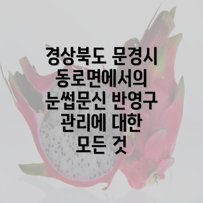 경상북도 문경시 동로면에서의 눈썹문신 반영구 관리에 대한 모든 것