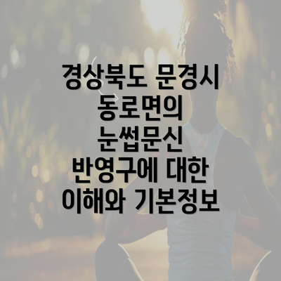 경상북도 문경시 동로면의 눈썹문신 반영구에 대한 이해와 기본정보