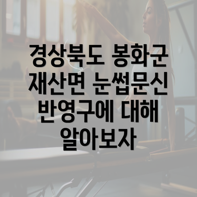 경상북도 봉화군 재산면 눈썹문신 반영구에 대해 알아보자