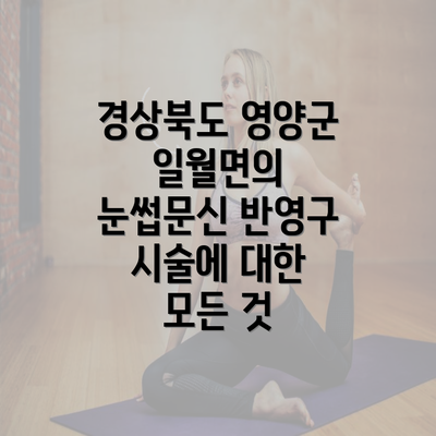 경상북도 영양군 일월면의 눈썹문신 반영구 시술에 대한 모든 것