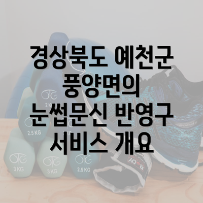 경상북도 예천군 풍양면의 눈썹문신 반영구 서비스 개요