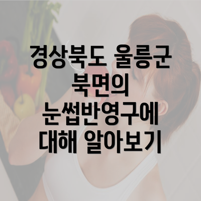 경상북도 울릉군 북면의 눈썹반영구에 대해 알아보기