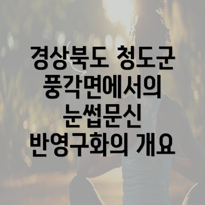 경상북도 청도군 풍각면에서의 눈썹문신 반영구화의 개요