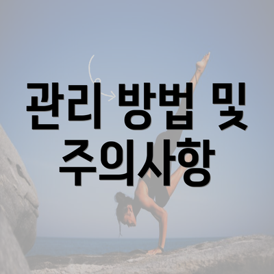 관리 방법 및 주의사항