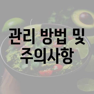 관리 방법 및 주의사항