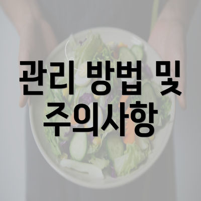 관리 방법 및 주의사항