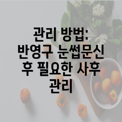 관리 방법: 반영구 눈썹문신 후 필요한 사후 관리