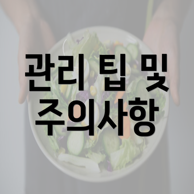 관리 팁 및 주의사항