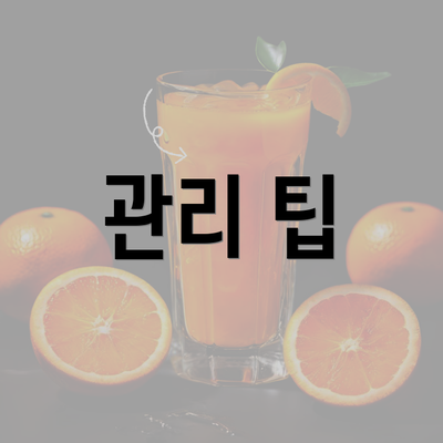 관리 팁