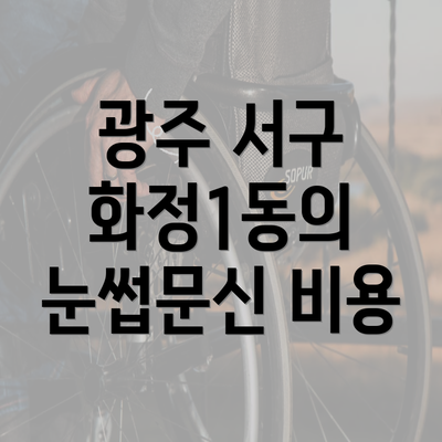 광주 서구 화정1동의 눈썹문신 비용