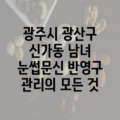 광주시 광산구 신가동 남녀 눈썹문신 반영구 관리의 모든 것