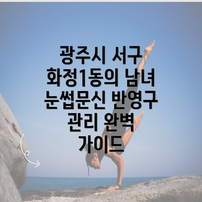 광주시 서구 화정1동의 남녀 눈썹문신 반영구 관리 완벽 가이드