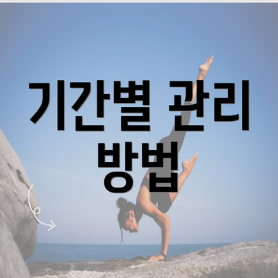 기간별 관리 방법