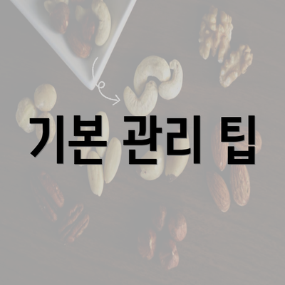 기본 관리 팁