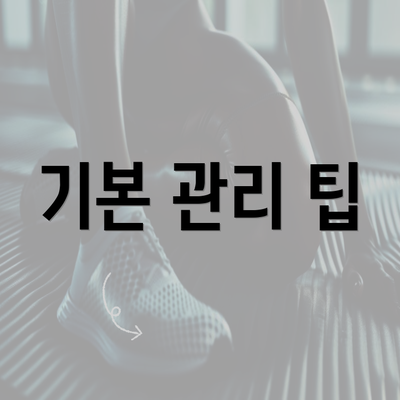 기본 관리 팁