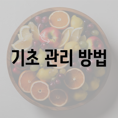 기초 관리 방법