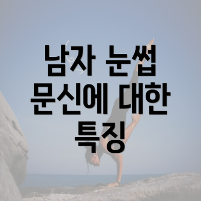 남자 눈썹 문신에 대한 특징