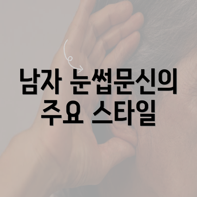 남자 눈썹문신의 주요 스타일