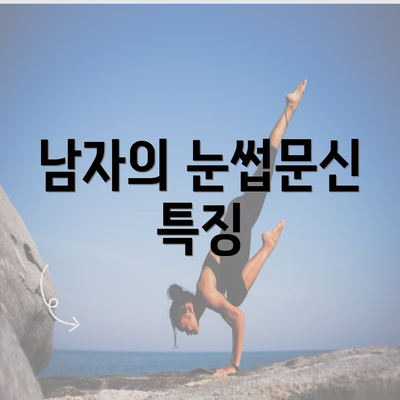 남자의 눈썹문신 특징