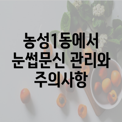 농성1동에서 눈썹문신 관리와 주의사항