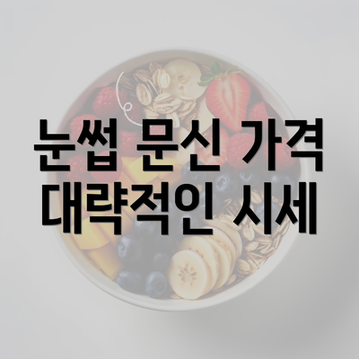 눈썹 문신 가격 대략적인 시세