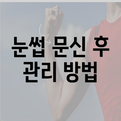 눈썹 문신 후 관리 방법