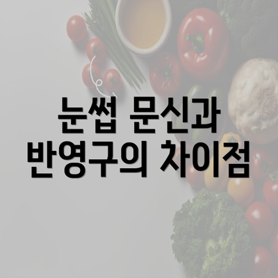 눈썹 문신과 반영구의 차이점