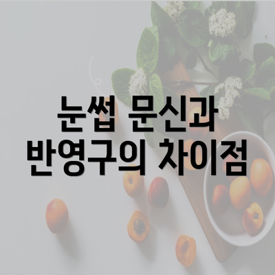 눈썹 문신과 반영구의 차이점