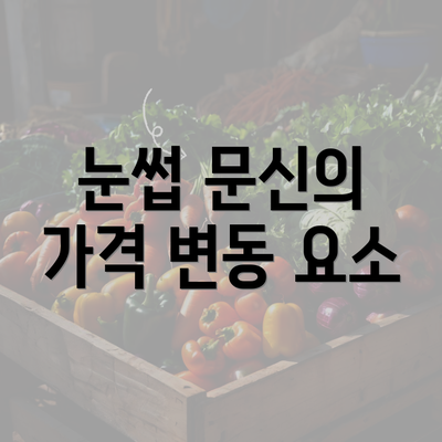 눈썹 문신의 가격 변동 요소