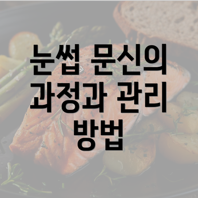 눈썹 문신의 과정과 관리 방법