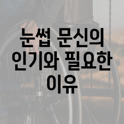 눈썹 문신의 인기와 필요한 이유