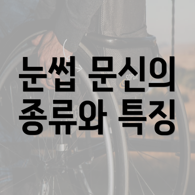 눈썹 문신의 종류와 특징