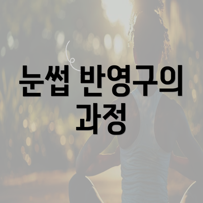 눈썹 반영구의 과정