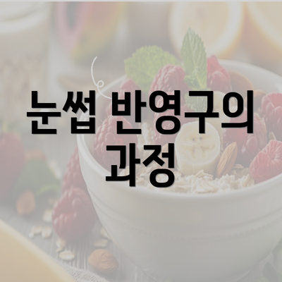 눈썹 반영구의 과정