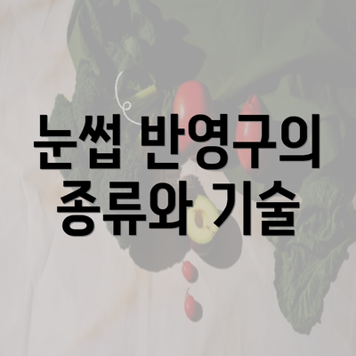 눈썹 반영구의 종류와 기술