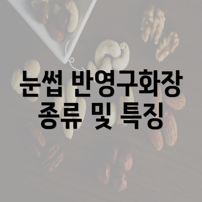 눈썹 반영구화장 종류 및 특징