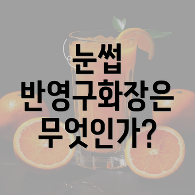 눈썹 반영구화장은 무엇인가?