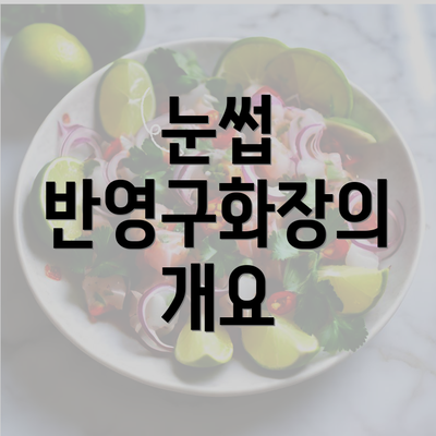 눈썹 반영구화장의 개요