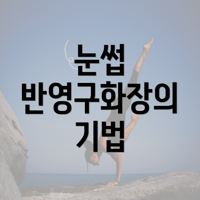 눈썹 반영구화장의 기법