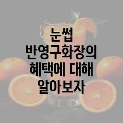 눈썹 반영구화장의 혜택에 대해 알아보자