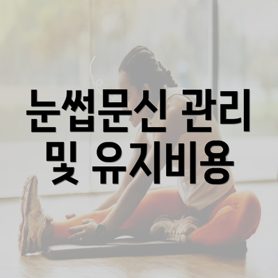 눈썹문신 관리 및 유지비용